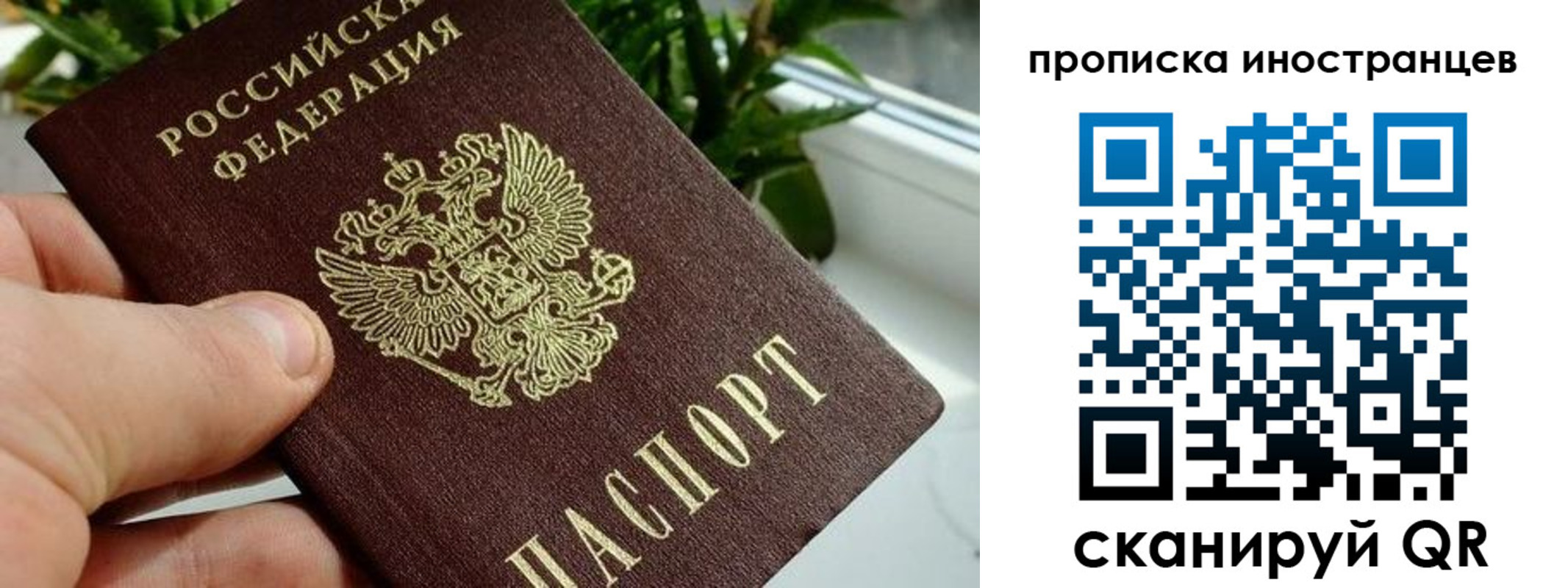временная регистрация в Жукове